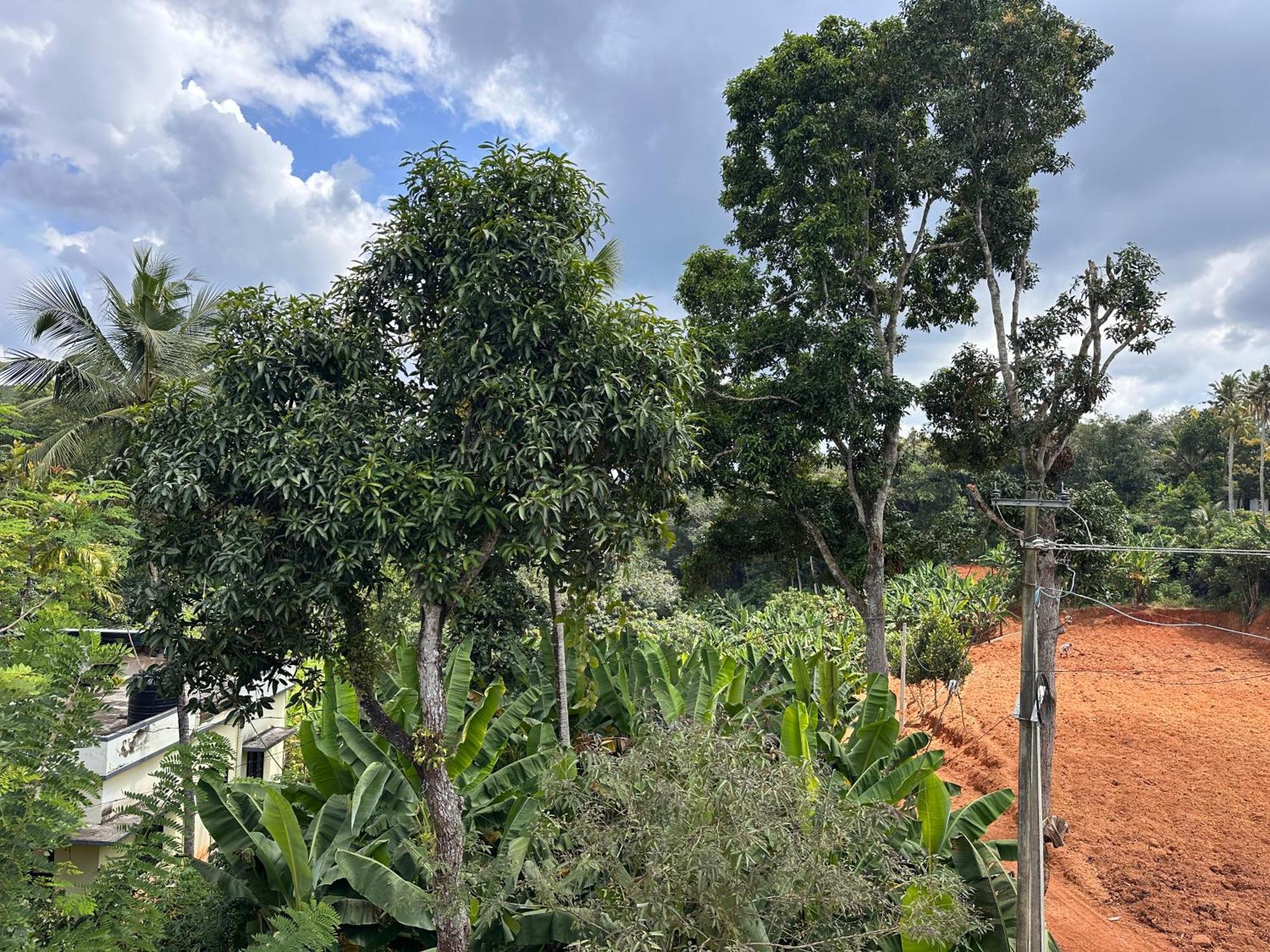 טריואנדרום Kattil Farm Stay Varkala מראה חיצוני תמונה