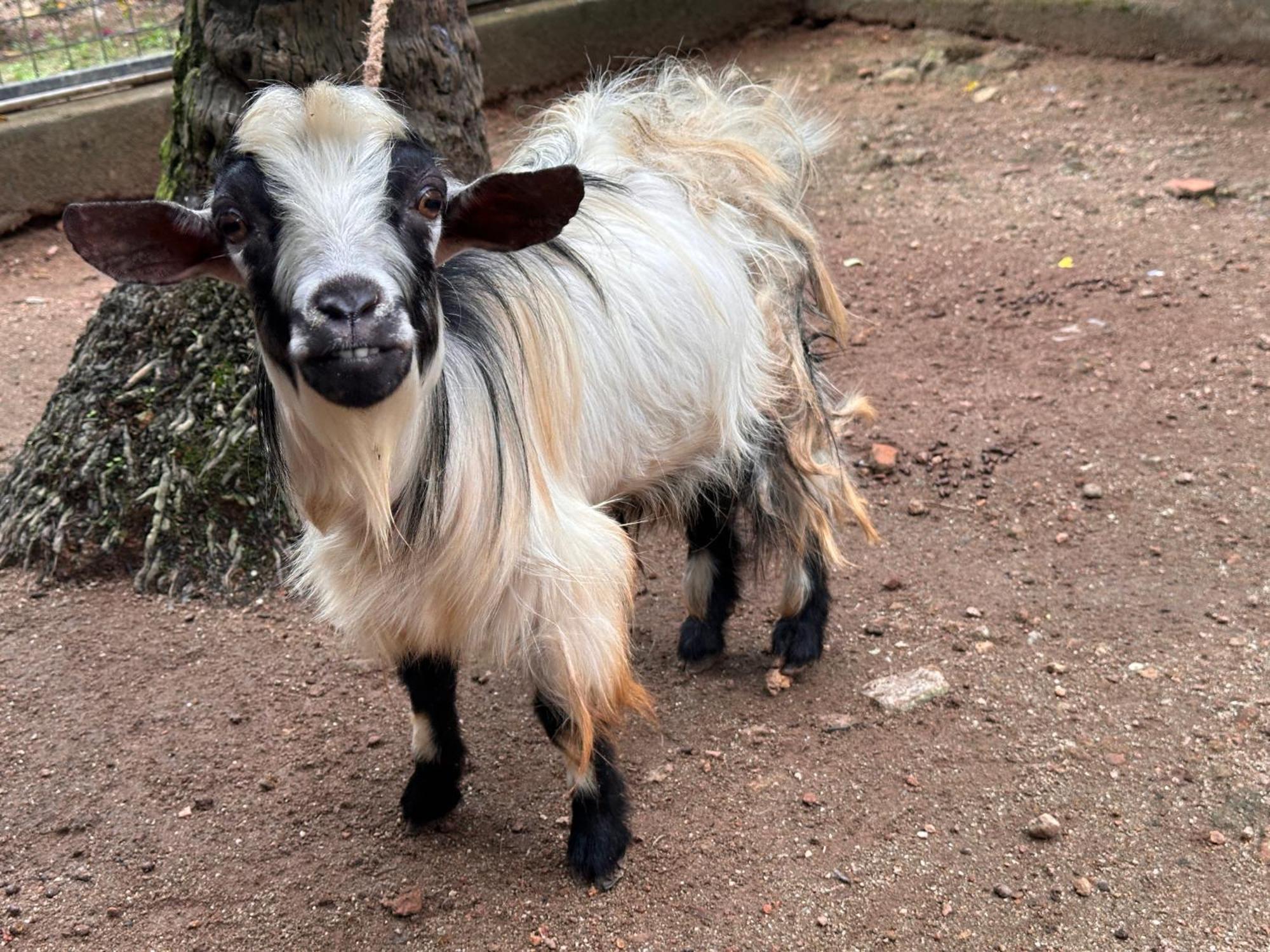 טריואנדרום Kattil Farm Stay Varkala מראה חיצוני תמונה